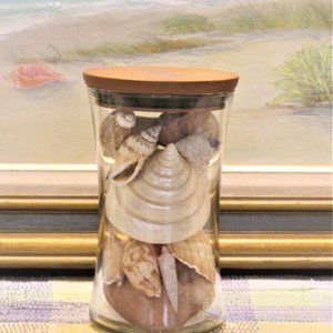 Glass Decanter full of sea shells
